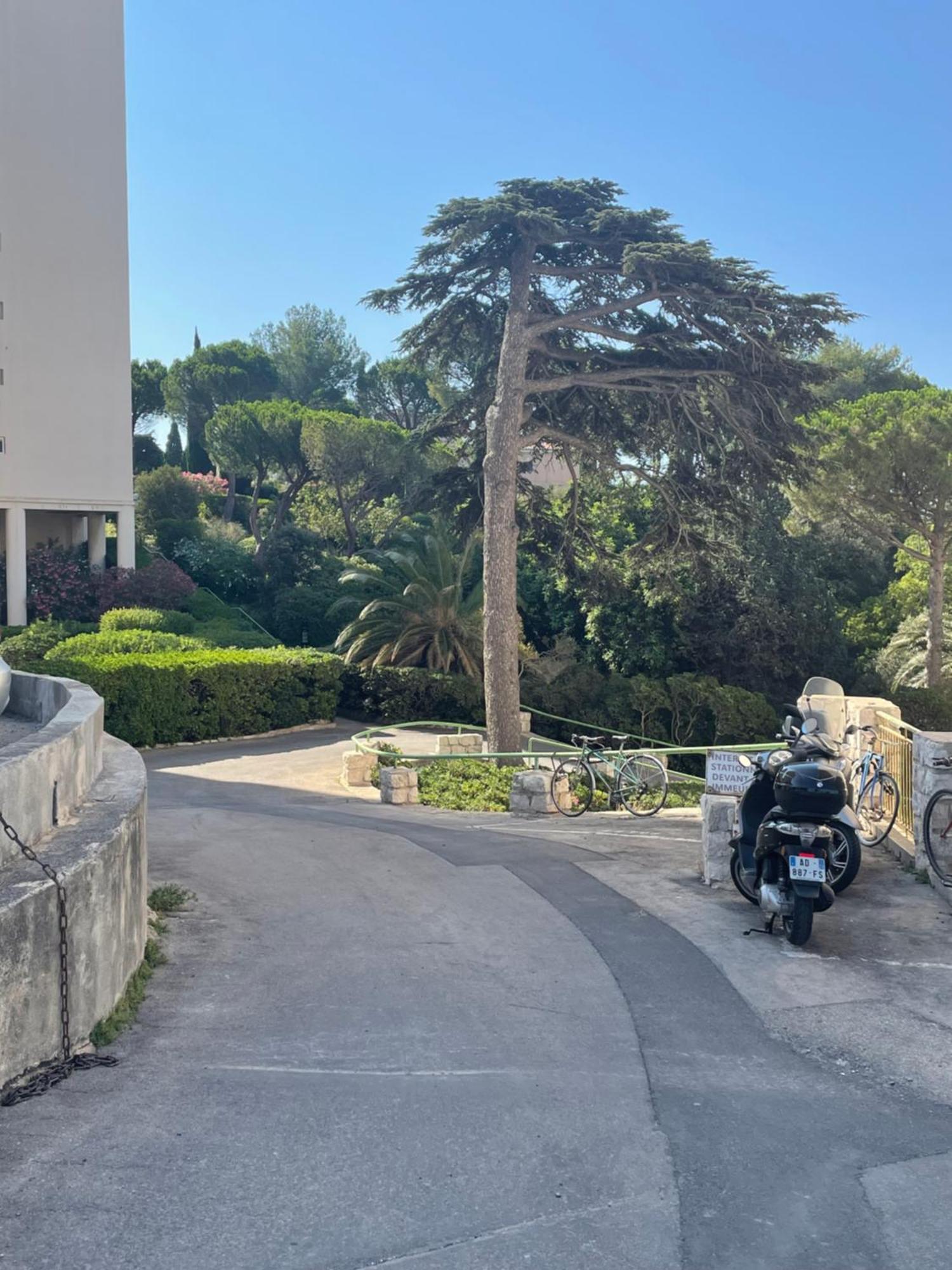 דירות מרסיי Vu Sur Mer Corniche מראה חיצוני תמונה